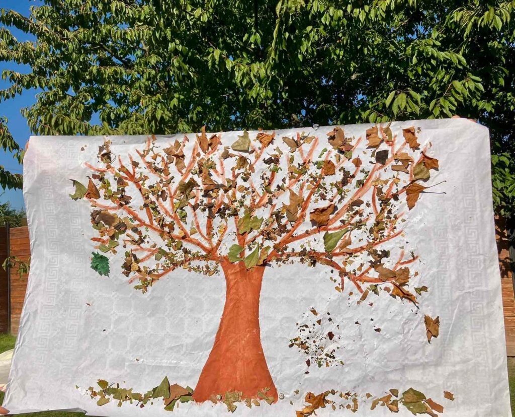 475771632_1087311839864391_9118809474075140210_n