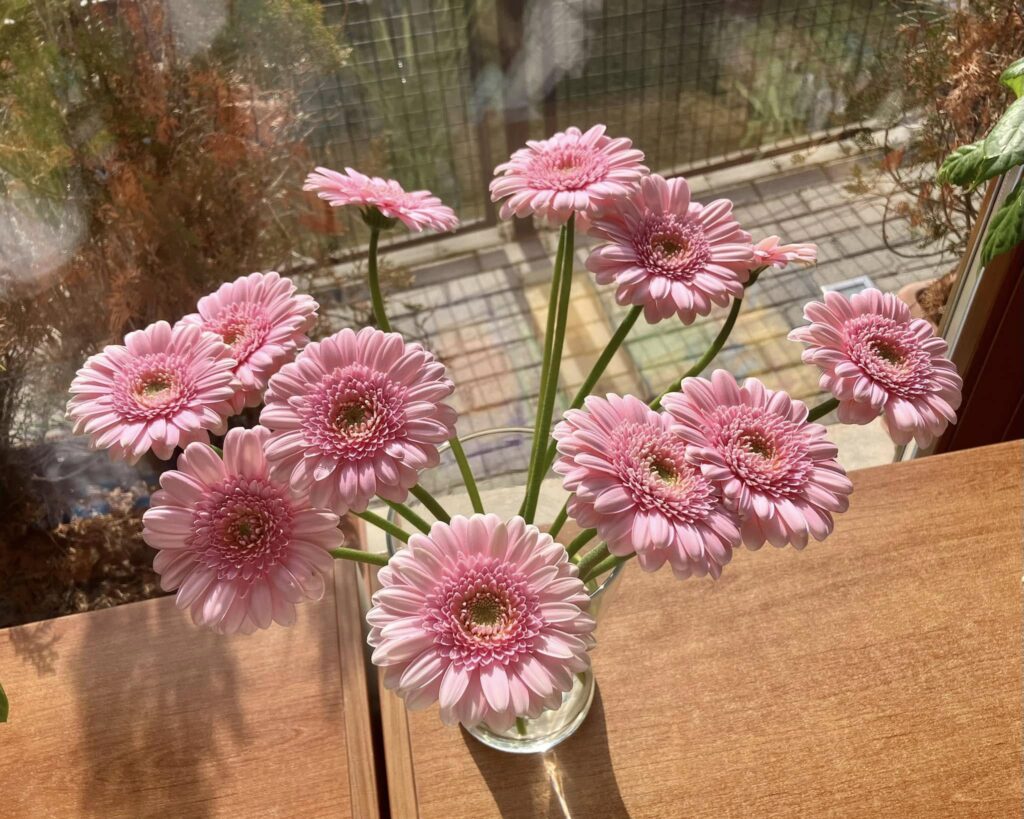 500727047_1168702148392026_8492321561316827008_n