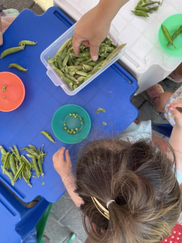 509353447_1190058622923045_6010517520166263462_n